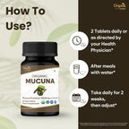 ORGANIC SPREE Mucuna Tablets - USDA Organic Mucuna Supplement, Supports Energy, Stamina & Overall Wellness*, 120 Tablets - Pack of 3
