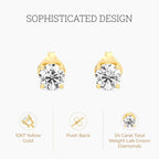 Gilded 1/4 Carat Total Weight Lab-Grown Diamond 10KT Yellow Gold Stud Earrings for Women| Hypoallergenic Fine Gold Jewelry | 4-Prong Basket, Push Back Nut | SI1 Clarity, F Color, Round Cut