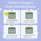 Plant People WonderSleep Mushroom Gummies Supplement for Sleep, No Melatonin with Reishi Super Mushrooms, Wild Elderberry Flavor, No Sugar (60 Count)