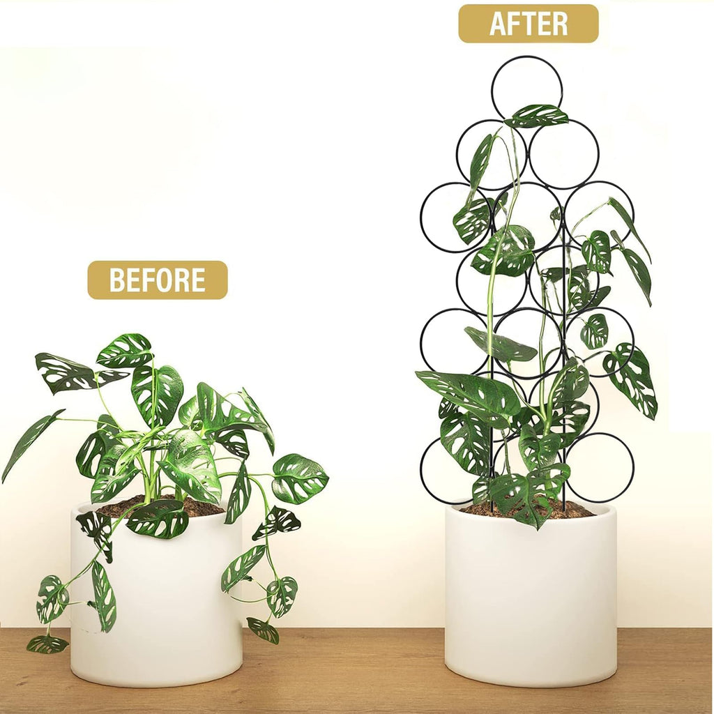 IA Garden Trellis for Climbing Plants Indoor,4 Pack Stackable Garden Trellis for Potted Plant Support, 15.7 Inch Small Houseplant Metal Wire Trellis for Vine Ivy Rose Plant Trellis (Black)