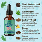Ellora Gut Cleanse Drops, Gentle Gut and Colon Support for Black Walnut Hull, Wormwood, Clove, Oregano, Licorice Root | 30 Servings