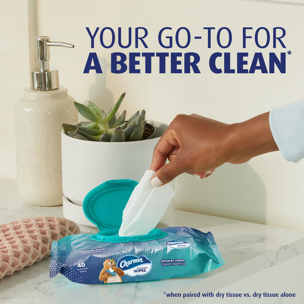 Charmin Flushable Wipes, 480 Total Wipes (12 Packs of 40)
