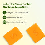 Swarva Japanese Persimmon Soap for Old People Smell & nonenal Odor, 2 Pack