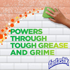 Fantastik All Purpose Cleaner, Multipurpose Surface Cleaner & Kitchen Grease Removal, Packaging Designed to Prevent Leakage and Breakage, Fresh Scent, 32 Fl Oz