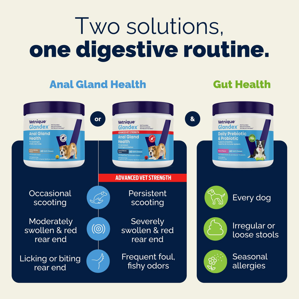 Vetnique Glandex for Dogs Anal Gland Chews 60ct Pumpkin + Digestive Enzymes