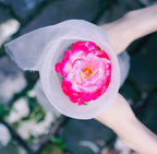 Garden Netting Pest Barrier: Ultra Fine 15'x20' Bug Netting