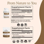 Real Mushrooms Lion’s Mane Capsules - Organic Lions Mane Mushroom Extract for Cognitive Function & Immune Support - Brain Supplements for Memory and Focus - Vegan Mushroom Supplement, 300 Caps