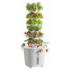 VEVOR Hydroponic Tower, 30 Pods 6 Tiers Hydroponics Growing System Kit with App Control, Vertical Home Garden with 20L Water Tank & Pump, Planter Germination Kit for Indoor Herbs, Fruits, Vegetables