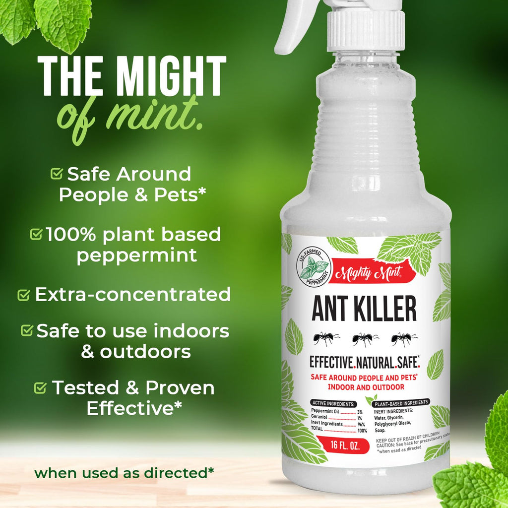 Mighty Mint Peppermint Oil Ant Killer Spray – Natural Ant Repellent for Indoor & Outdoor Use – Plant-Based Insect & Pest Control – 16 oz
