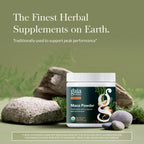 Gaia Herbs Maca Powder - Energy Supplement - Traditionally Used to Support Healthy Energy & Stamina* - Made with USDA Certified Organic Maca Root (Lepidium meyenii) - 8 Oz (69 Servings)