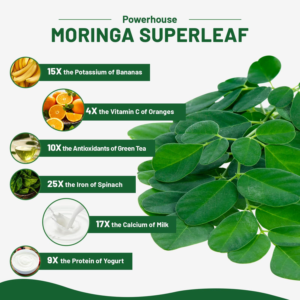 vivcmin 240 Moringa Capsules - Moringa Oleifera Leaf | Moringa Supplement for Energy & Immune Support - 8 Month Supply