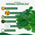 vivcmin 240 Moringa Capsules - Moringa Oleifera Leaf | Moringa Supplement for Energy & Immune Support - 8 Month Supply