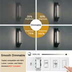 NOVELUX 11.8IN 1000LM 5000K Daylight White Light Bulbs E26 Base, T10 T9 Edison Bulbs Dimmable 8W, AC 120V 100 Watt Equal Filament Bulb, Vintage Clear Glass Long Tubular LED Bulb, UL Certified - 4Pack