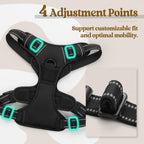 rabbitgoo Dog Harness, No Pull for Large Dogs with 2 Leash Clips, Pet Vest