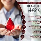 Natural Heart Doctor Vessel Support High Blood Pressure Supplement - Nitric Oxide Supplement with L-Arginine & Grape Seed Extract – Nitric Oxide Booster for Vascular Wellness - Made in USA - 5.2 Oz