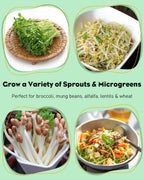 Pawfly Sprouting Kit, Wide Mouth 1 Quart (1000 mL) Mason Jars