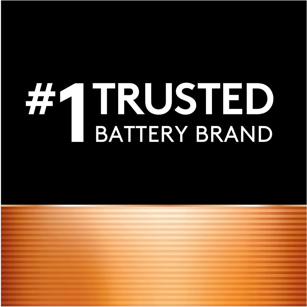Duracell Coppertop AAA Batteries with Power Boost Ingredients, Triple A Batteries, 2 Count (Pack of 1) for Household and Office Devices, Alkaline AAA Battery
