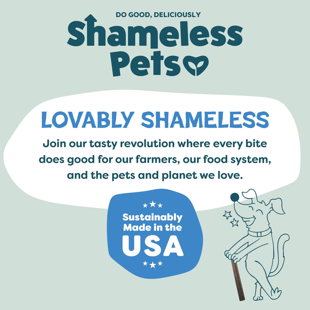 Shameless Pets Blueberry & Mint Dental Chews for Dogs, 32 Chews