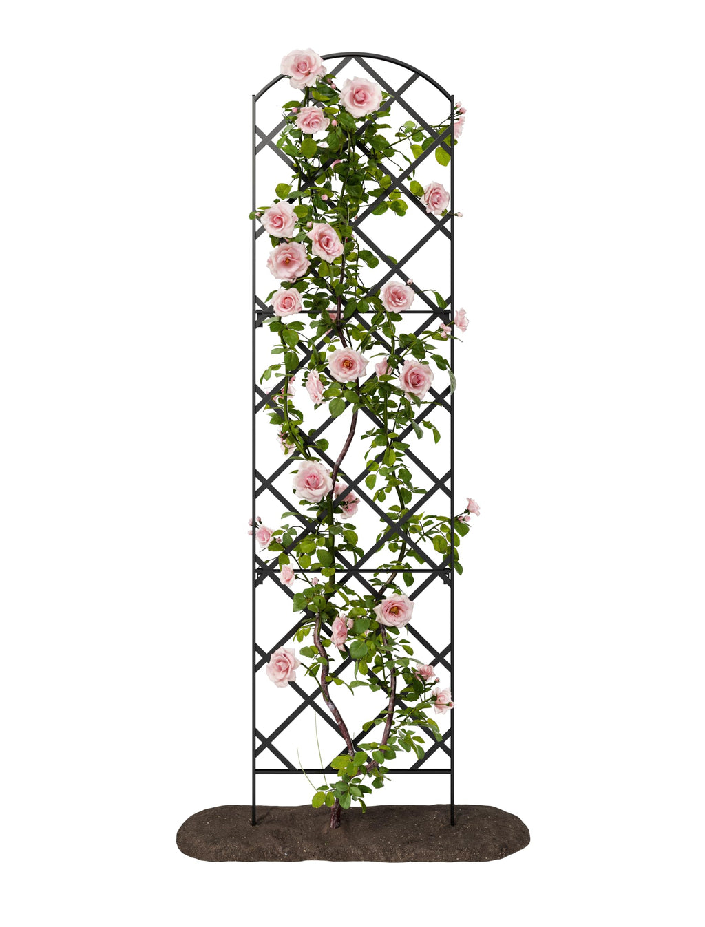 Giant Trellis, 108” high (9’ Tall) by 28” Wide Trellis with Arched top - by Meranti Home + Garden