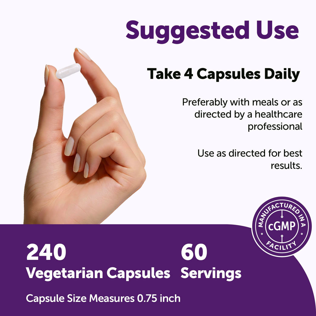Micro Ingredients NAC with NAD+ 2,000 mg Per Serving, 240 Vegetarian Capsules | 2-in-1 N-Acetyl-L-Cysteine with Nicotinamide Adenine Dinucleotide | Non-GMO, Gluten Free