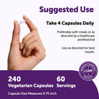 Micro Ingredients NAC with NAD+ 2,000 mg Per Serving, 240 Vegetarian Capsules | 2-in-1 N-Acetyl-L-Cysteine with Nicotinamide Adenine Dinucleotide | Non-GMO, Gluten Free