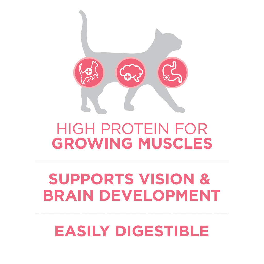 Purina ONE High Protein Natural Kitten Dry Cat Food, 7 lb Bag