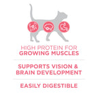 Purina ONE High Protein Natural Kitten Dry Cat Food, 7 lb Bag