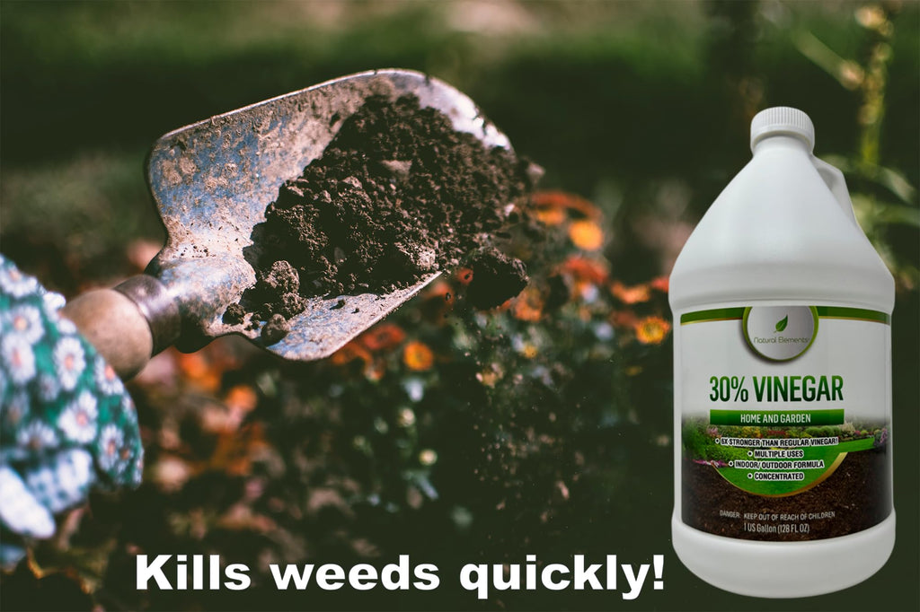 Natural Elements 30% Vinegar | Home & Garden | 6X Cleaning Power | Multiple Uses | 1 Gallon (Pack of 2)