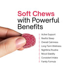 Chapter One Magnesium Gummies, Great Tasting Magnesium for Kids, Calm Kids Magnesium, Magnesium Gummies for Women and Men, Certified Kosher, (60 Flavored Gummies)