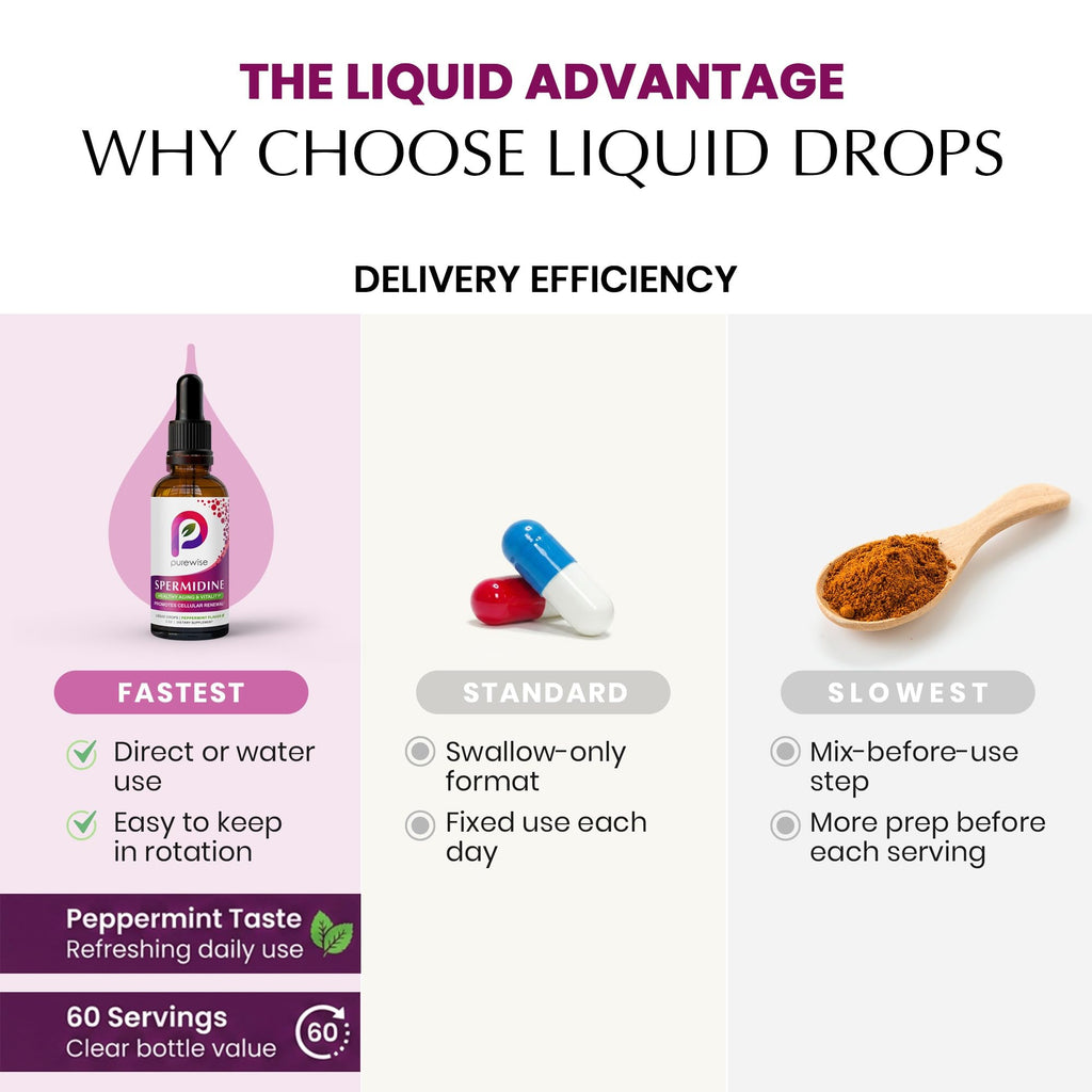 Spermidine Liquid Drops — 99.5% Pure | Double-Potency 40 mg | Cellular Renewal & Healthy Aging Support | Organic Peppermint Flavor | Pure Bioavailable Polyamine Supplement — 2 fl oz