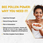 Bee and You - 100% Natural & Raw Bee Pollen Granules, Bee Pollen Supplement, Natural Superfood, Amino Acids, Antioxidants, Enzymes, Vitamin B, Paleo, Keto, Gluten Free, Adults | 5 Oz Pack of 2