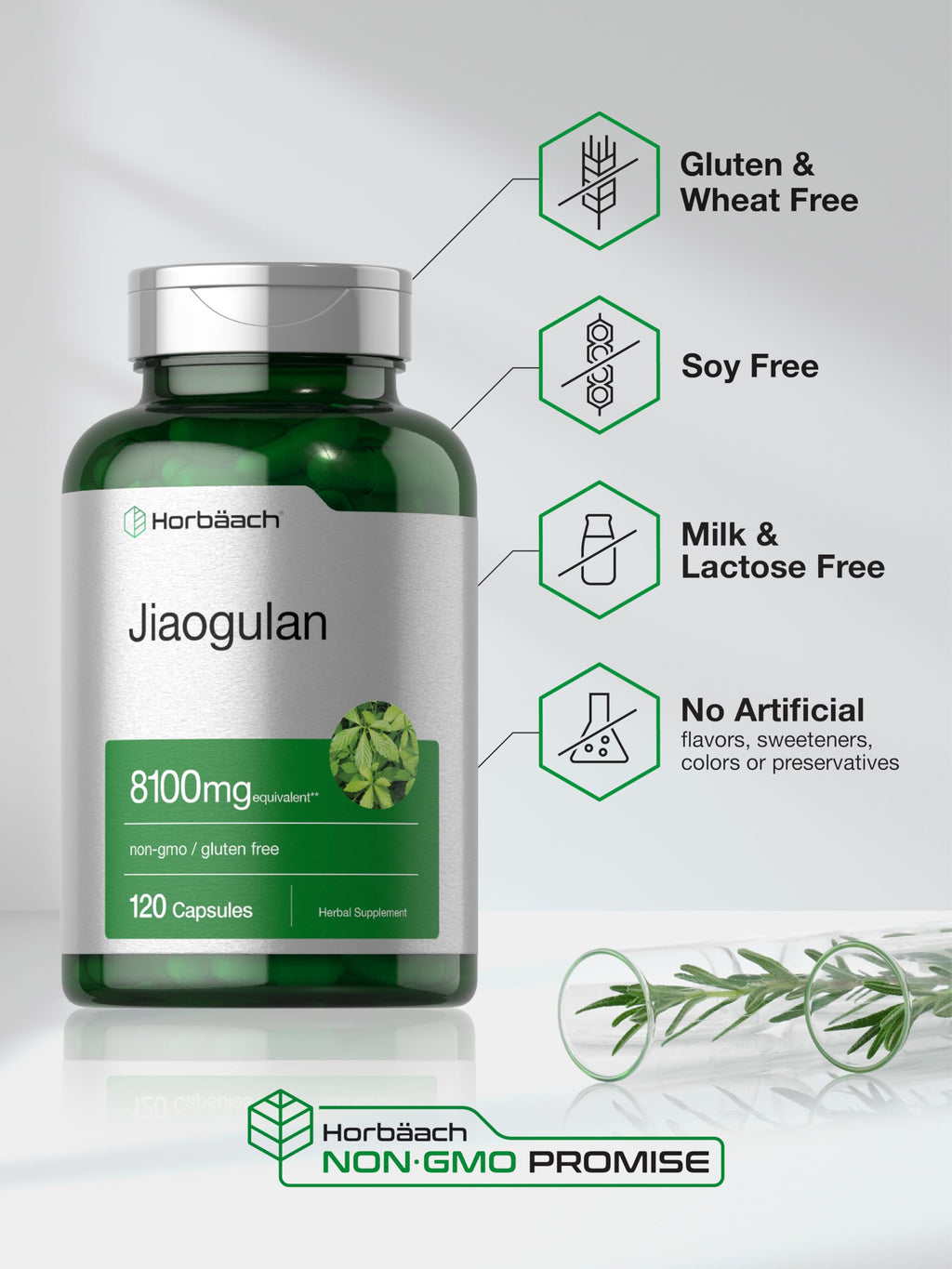 Horbäach Jiaogulan Capsules | 120 Count