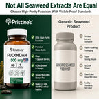 PRISTINE'S Fucoidan 500MG Immunity Supplement Capsules - 60 Day Supply - Brown Seaweed Extract - Potent Herbal Antioxidant Lung Health & Skin Health Support