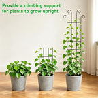 32.6inch Plant Trellis for Pot Climbing Plants Indoors & Outdoor, Garden Trellis for Potted Plants, Rust-Proof Metal Sturdy Yet Gentle Climbing Stakes Support for Ivy Pothos Hoya Monstera (4pcs)