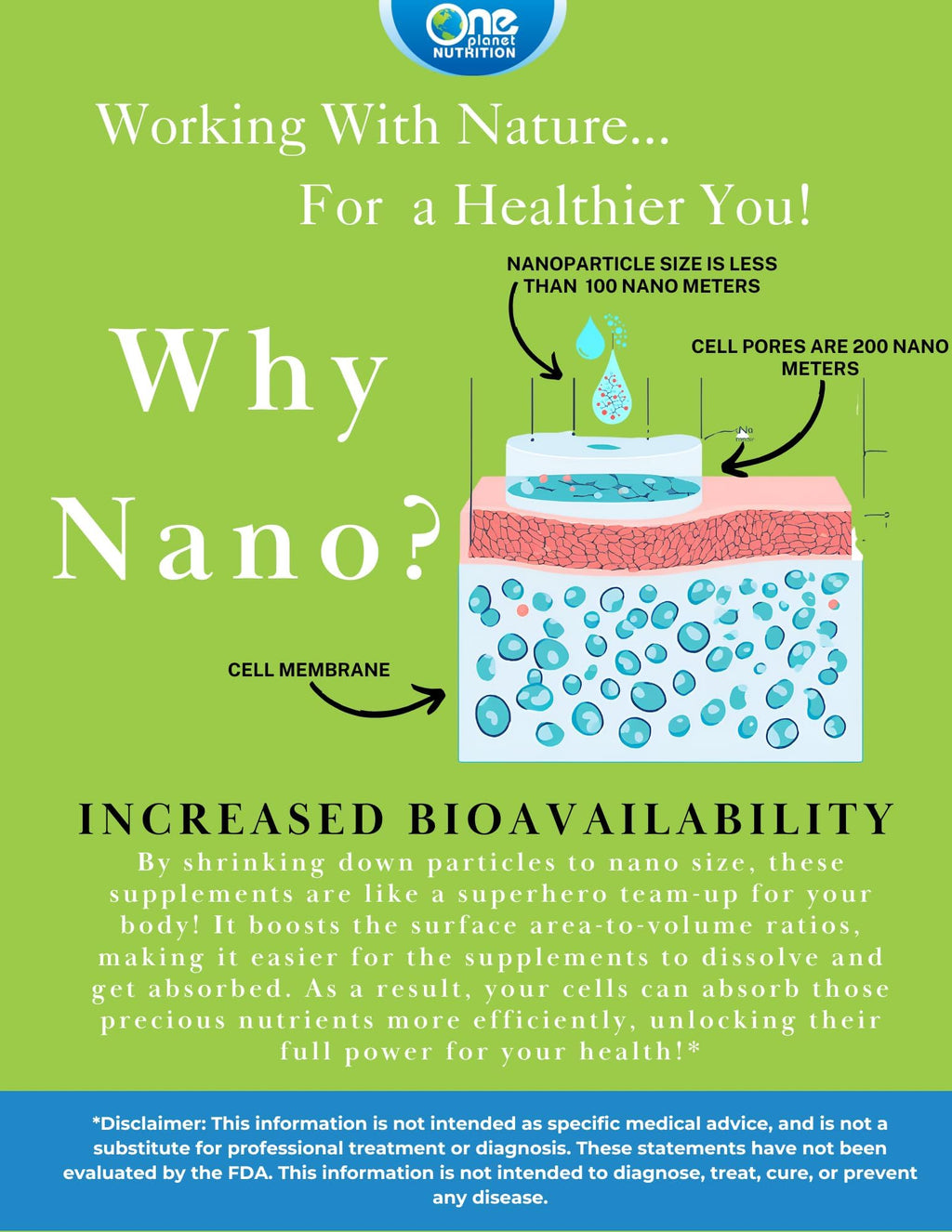 One Planet Nutrition Nano Curcumin 500 mg Veggie Capsules (120 Servings), Nano for High Absorption, Supports Immune Health, Non-GMO, Vegan, Gluten-Free