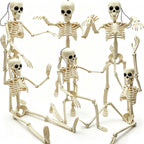 6PCS Skeleton Halloween Decorations, 16in Full Body Poseable Small Skeleton