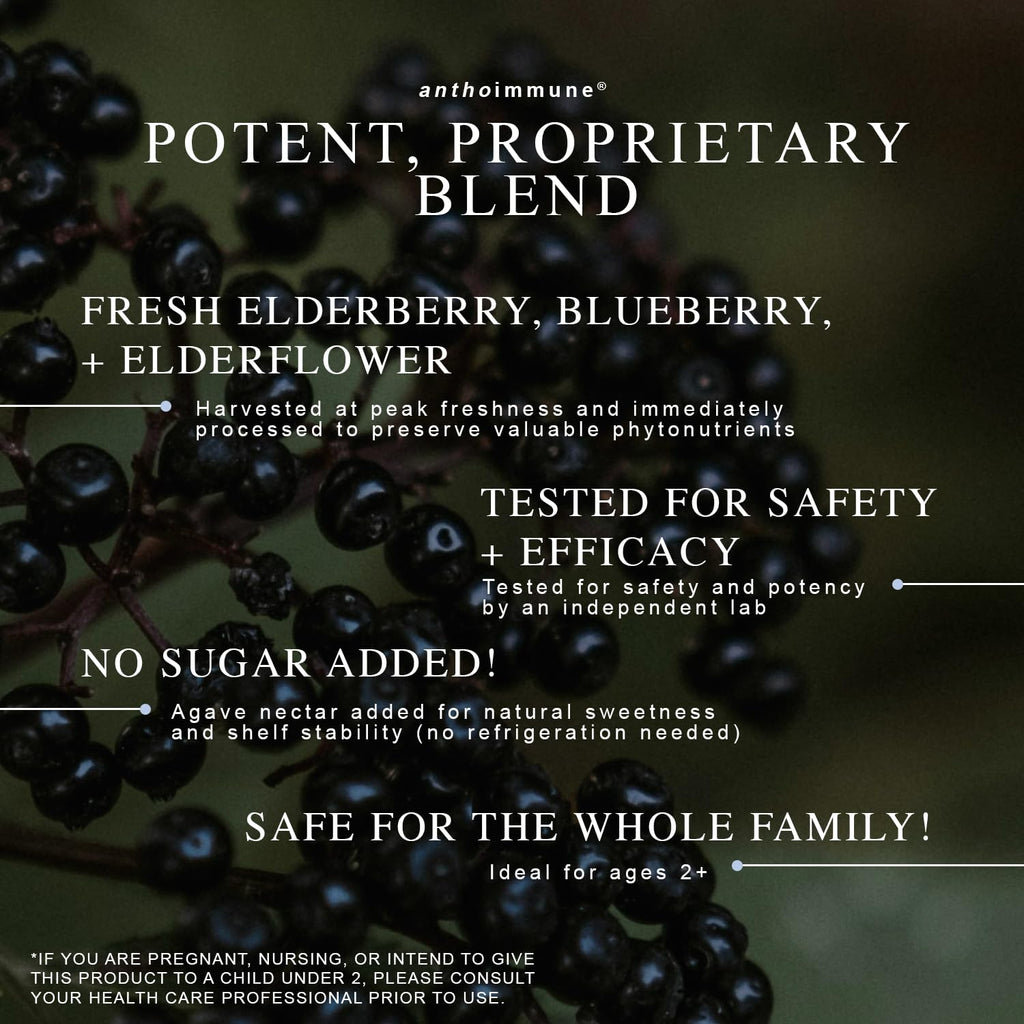 Maine Medicinals Organic Elderberry Syrup - Anthoimmune - Immune Support Supplement for Adults and Kids- USDA Organic, Ultra-Premium Black Elderberry Formula (8 oz) 48 Servings