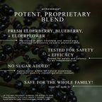 Maine Medicinals Organic Elderberry Syrup - Anthoimmune - Immune Support Supplement for Adults and Kids- USDA Organic, Ultra-Premium Black Elderberry Formula (8 oz) 48 Servings