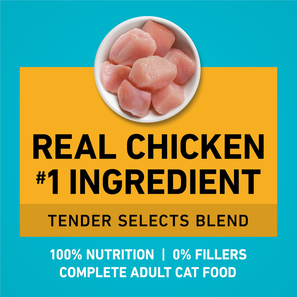 Purina ONE Tender Selects Dry Cat Food, Chicken, 7 lb Bag