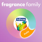 Softsoap Antibacterial Liquid Hand Soap, White Tea & Berry Scent Hand Soap, 11.25 Ounce, 6 Pack