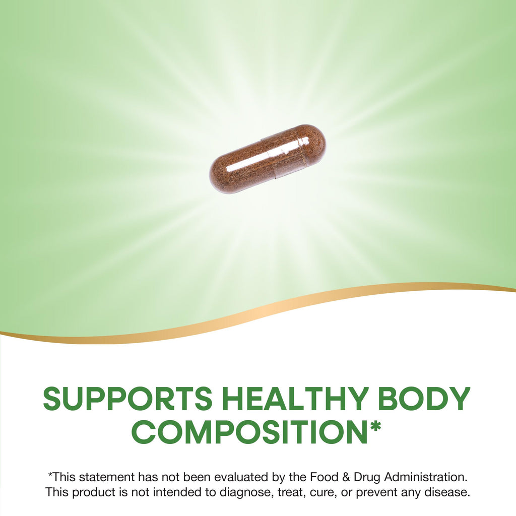 Nature's Way Forskohlii, Supports Healthy Body Composition*, Standardized Extract, 125 mg ForsLean per Serving, 60 Vegan Capsules (Packaging May Vary)