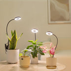 LORDEM Grow Lights for Indoor Plants, 2 in 1 Full Spectrum Plant Light with 360° Gooseneck, 48 LEDs, Auto Timer 6/8/12/16H, 3 Lighting Modes,5 Brightness Levels for Small Plants, 3 Pack Black