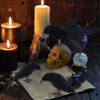 YOFIT Halloween Crow Decorations 6 Pack Fake Black Crows and Ravens