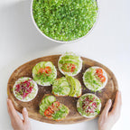FANHAO 2 Pack Stainless Steel Seed Sprouter Trays, Food-Grade Microgreens Growing Tray, Soil-Free Cultivation Germination Tray for Indoor or Outdoor Sprouting Seeds, Grow Grass, Beans (Without Lids)