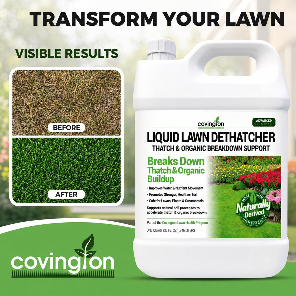 Covington Liquid Lawn Dethatcher (32oz) – Liquid Aerator Concentrate & Humic Thatch Remover, Soil Softener & Grass Thatch Buster for Lawns & Gardens – Kids & Pet Safe, Made in USA