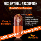 Rossylla Liposomal NAD+ Supplement, 1300 mg per Serving, NAD Plus Supplement with Liposomal Delivery, Supports Cellular Energy and Healthy Aging, 120 Softgels
