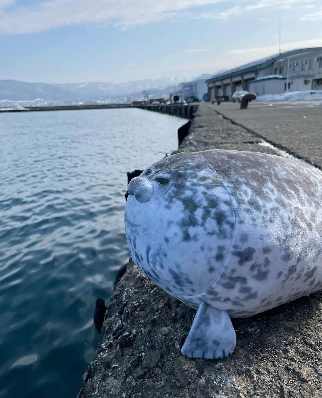 23.7 inch Large Seal Plush Pillow, Soft Stuffed Animal Toy,Chubby Blob Seal