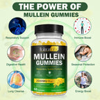 Mullein Gummies for Lungs, Mullein Extract for Smokers - Support Lung & Respiratory Health, Soothes Throat Irritation, Boost Immune - Mullein Leaf Extract for Lungs, Breathe Easier (2 Pack)