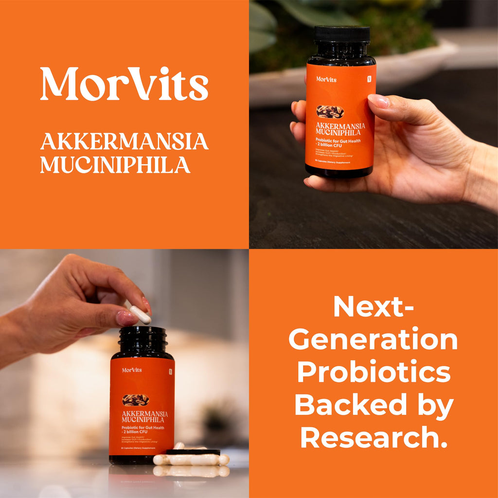 Morvits Akkermansia Probiotic for Cravings & Gut Health | GLP-1 Support Supplement with Akkermansia Muciniphila – 2 Billion CFU, Inulin Prebiotic Fiber – 60 Capsules, 1 Pack