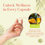 MangoForte™ Mango Leaf Supplements 200 mg 60 Capsules Made in USA (60% Mangiferin) Natural Mangiferin Extract Capsules Immune Support Supplement Made from Premium Mango Leaves